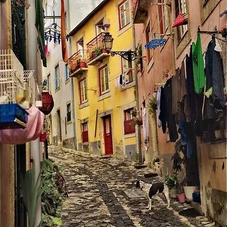 Daire Ideal Address With Fantastic View Castel -old Town-river